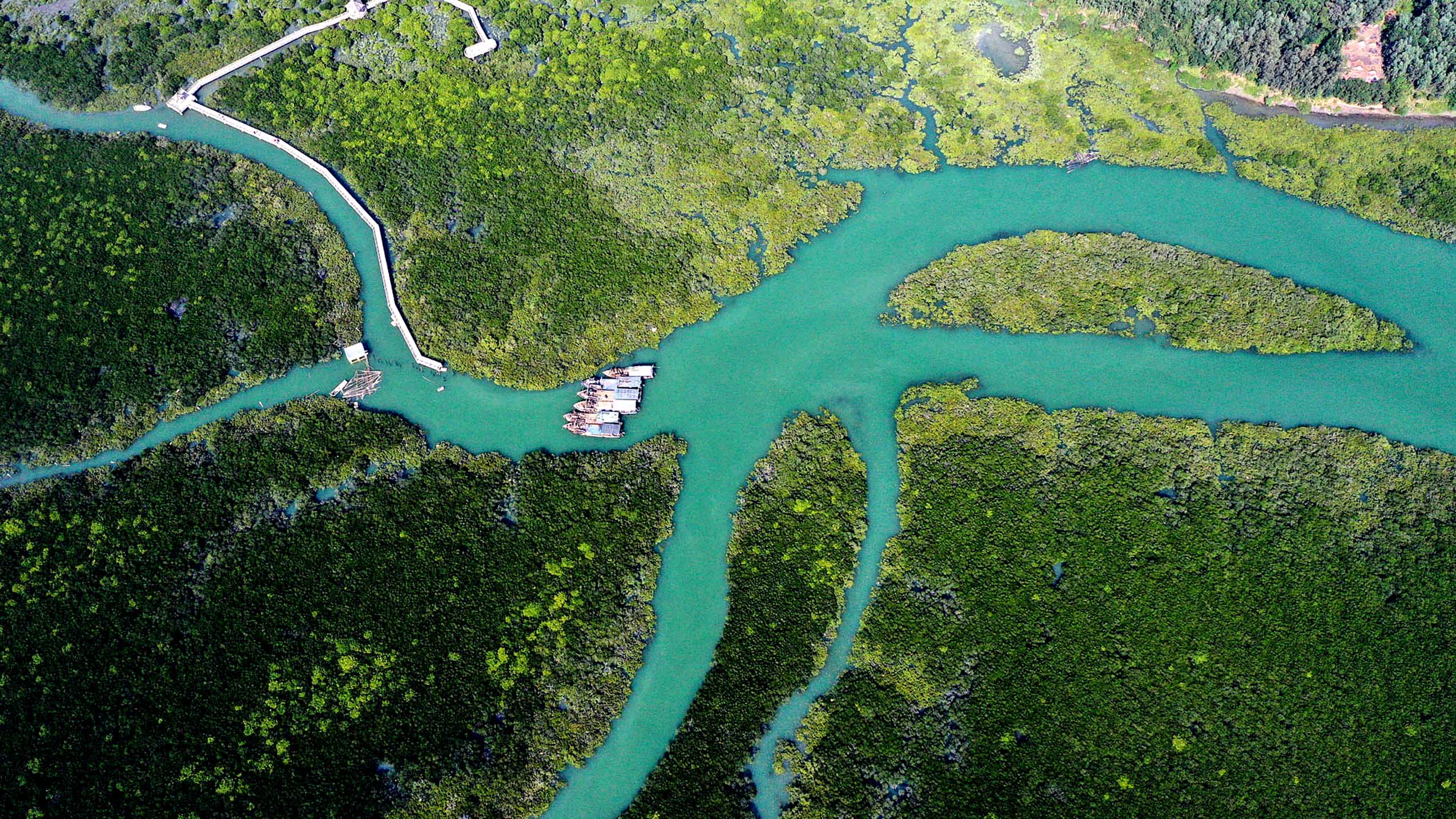 This aerial photo taken on Oct. 22, 2022 shows the scenery of Shankou Mangrove Nature Reserve in Hepu County of Beihai City, south China's Guangxi Zhuang Autonomous Region. The Shankou Mangrove Nature Reserve, a wetland reserve protecting the ecosystem of the mangrove forest, has been designated as a wetland of international importance in China. (Xinhua/Zhang Ailin)