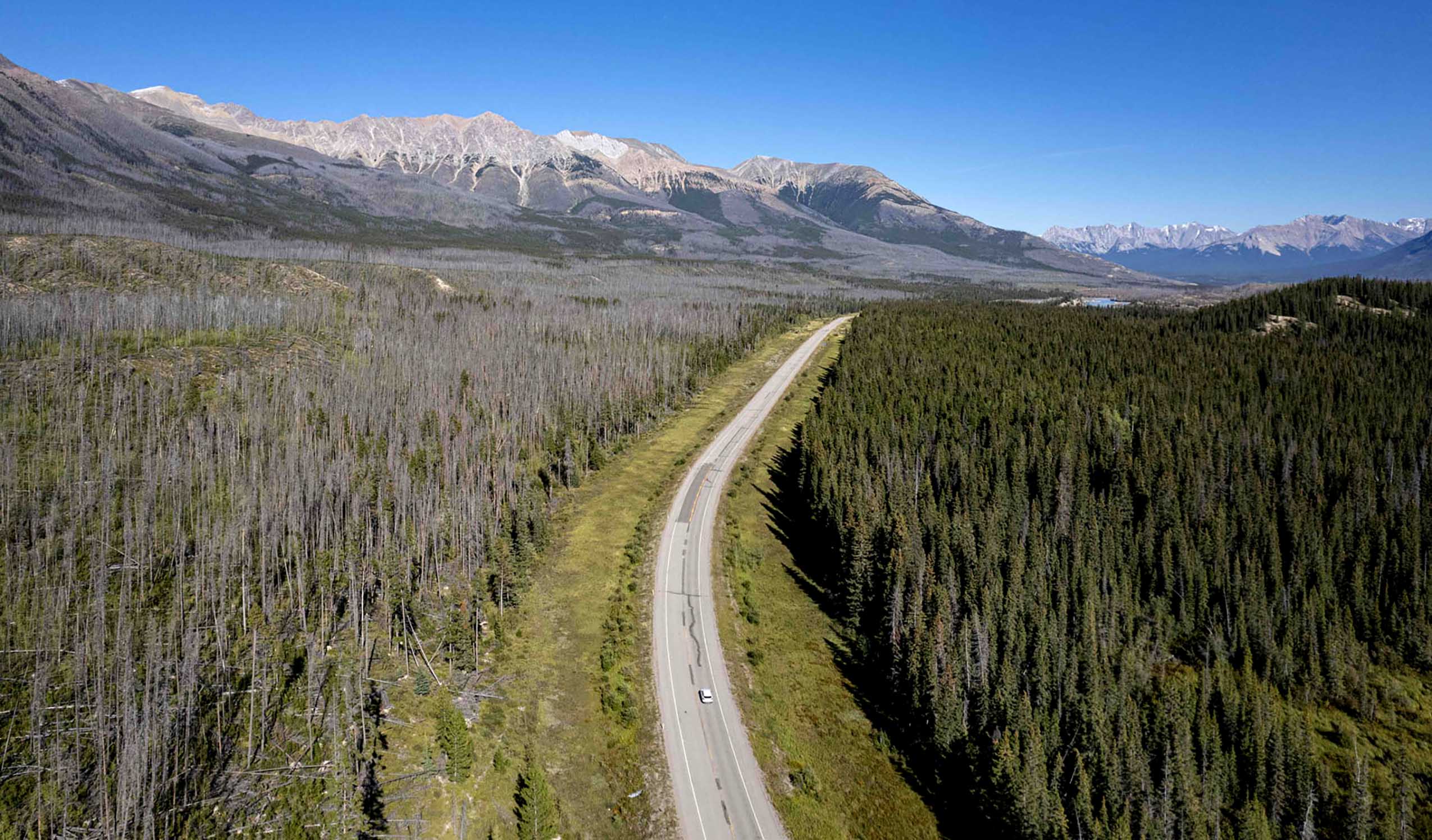 a general view shows fire damaged trees near Saskatchewan river crossing between the Banff and Jasper national parks, in Alberta, Canada. - The Canadian government on November 24, 2022, unveiled a CAN$1.6 billion (US$1.2 billion) plan to help the country deal with the looming dangers of a warming world, such as floods, wildfires and extreme heat. The so-called climate adaptation strategy will fund programs to help Canadians shield themselves from heat waves, protect coastlines from rising seas and safeguard infrastructure, including in the far north, which is facing the thaw of permafrost, officials said. (Photo by Ed JONES / AFP)