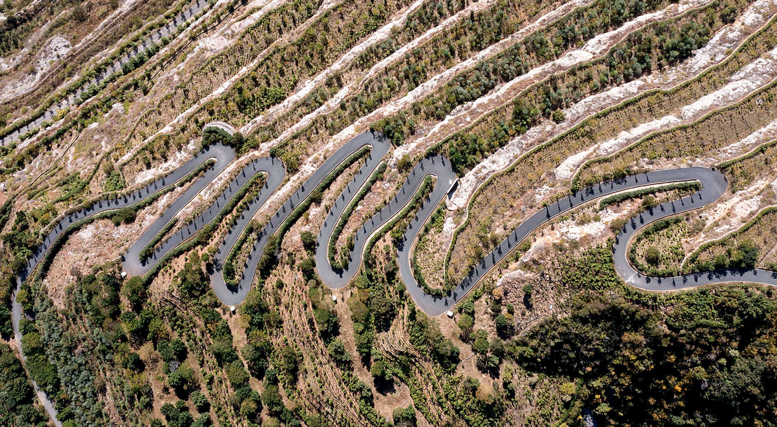  This aerial photo shows a paved road in a mining site after ecological restoration in a cycad national nature reserve in Panzhihua, southwest China's Sichuan Province.   The city of Panzhihua boasts China's only national-level cycad nature reserve, with over 385,000 cycad plants.  Local authorities and Panzhihua Iron and Steel have stepped up efforts to protect cycad plants, amid the city's green development and endeavors to restore ecosystems.  Mining has been stopped in the reserve. Mountains that used to be bare due to the mining have turned green again. (Xinhua/Xu Bingjie)