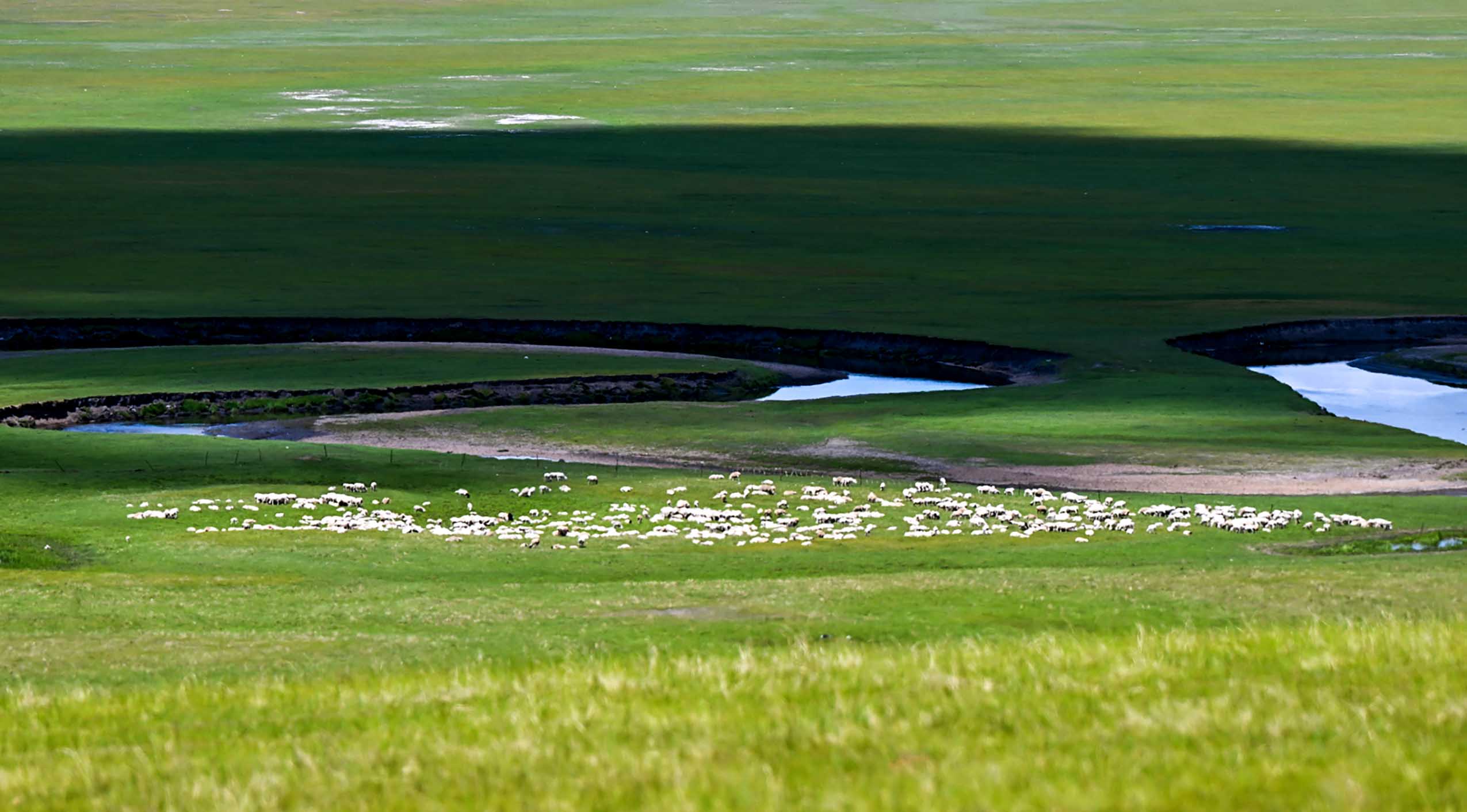  This photo taken on July 1, 2023 shows scenery along the Mergel Gol River in Hulun Buir, north China's Inner Mongolia Autonomous Region. (Xinhua/Lian Zhen)