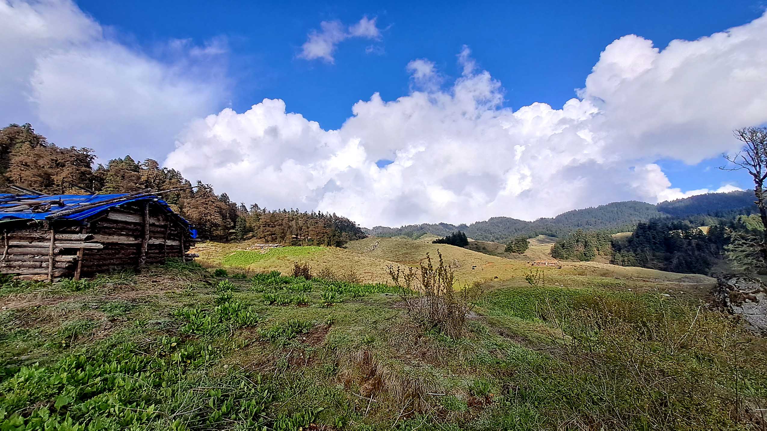 khaptad