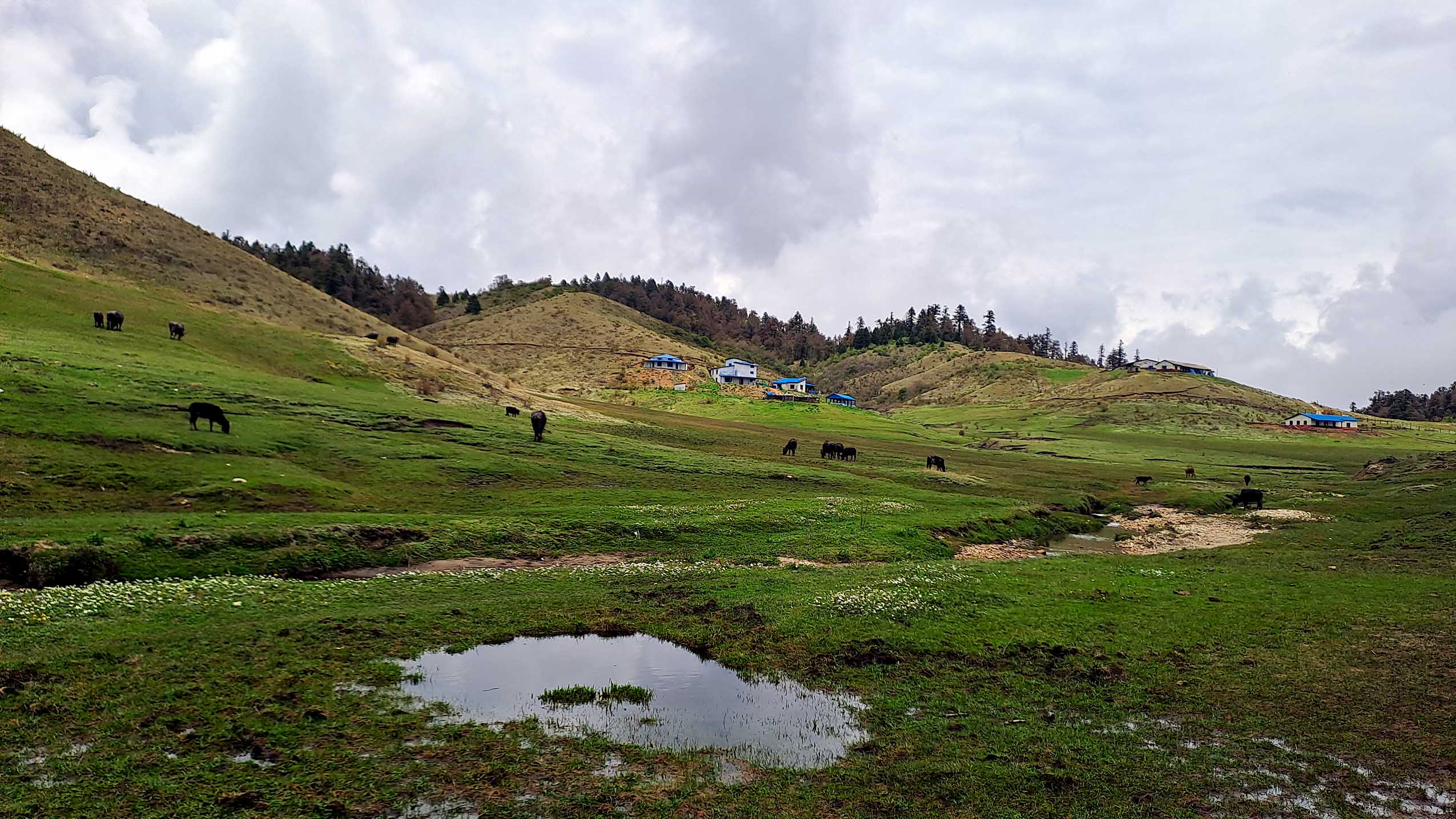 khaptad