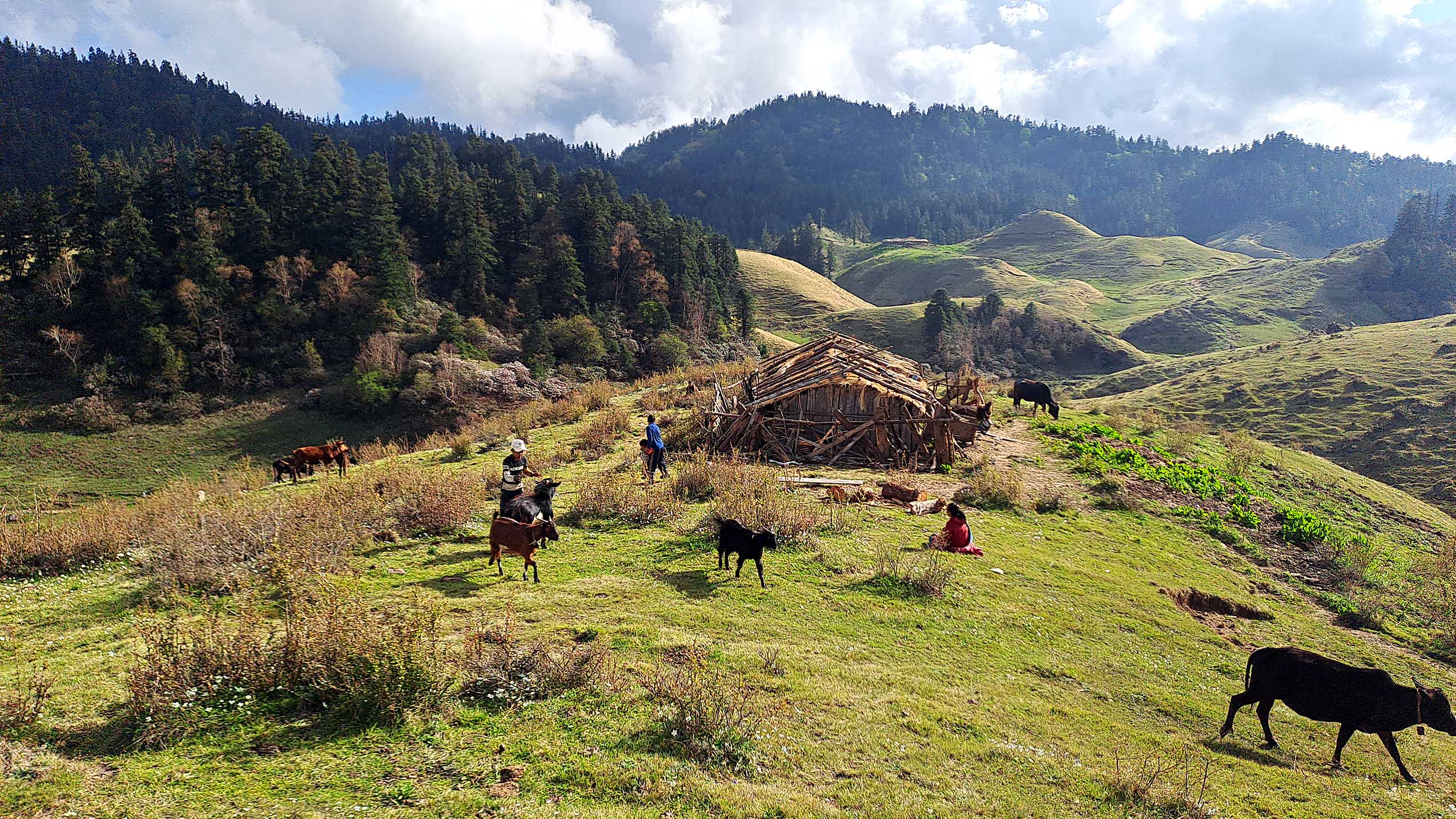 khaptad