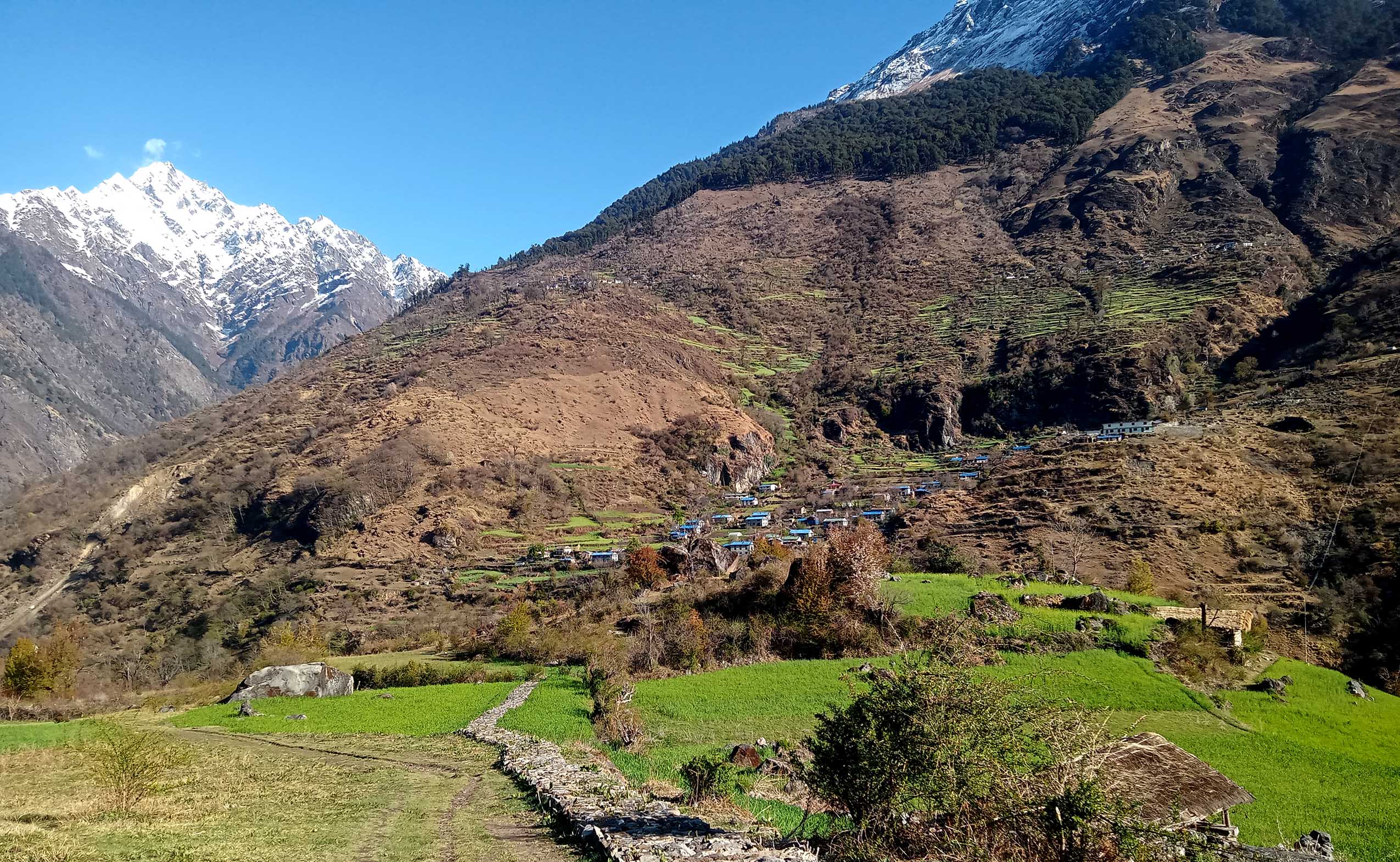 साइपालमा  खाद्य सङ्कट, सिंहदरबार नधाएर पुग्दैन चामल
