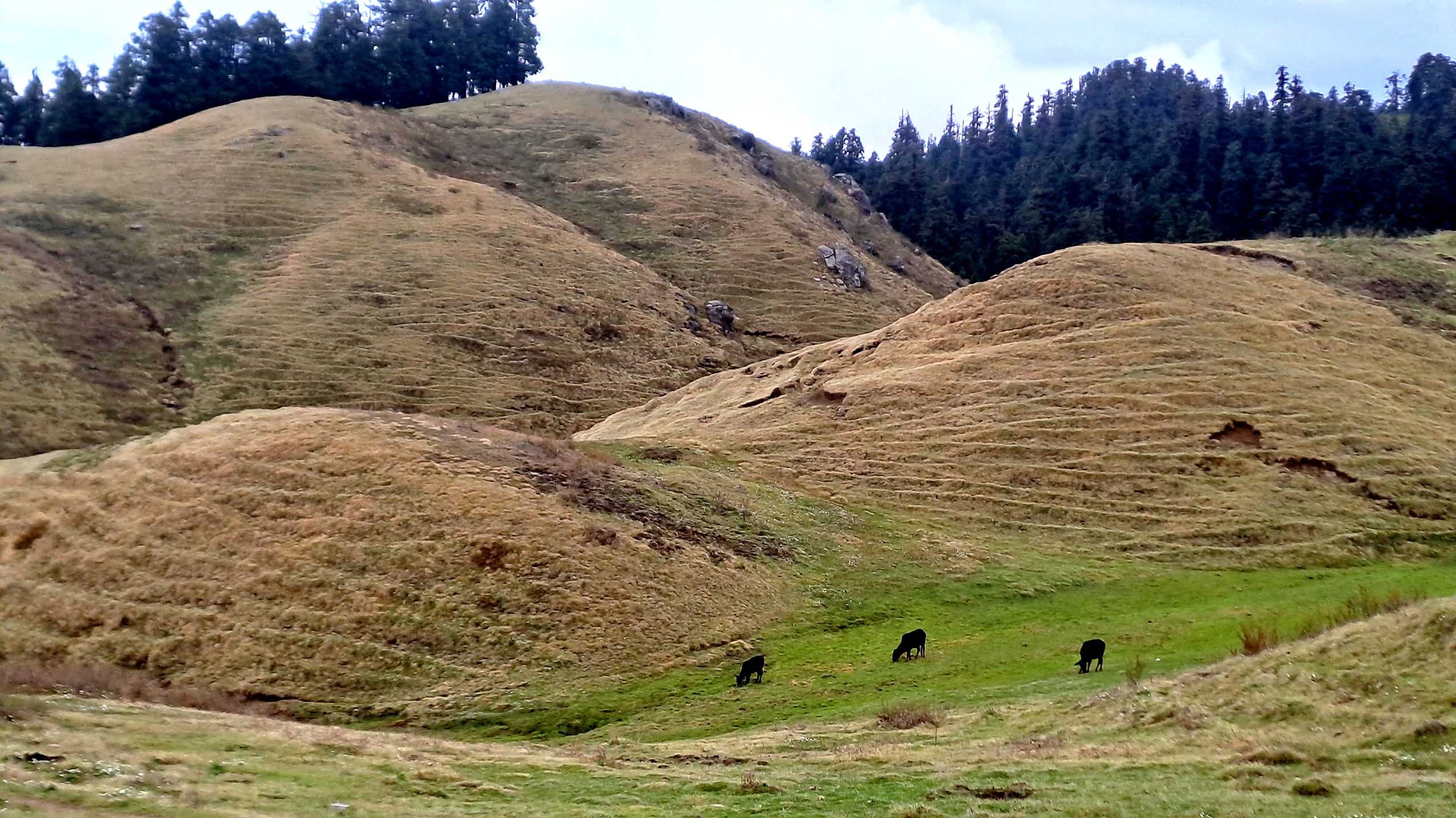 khaptad