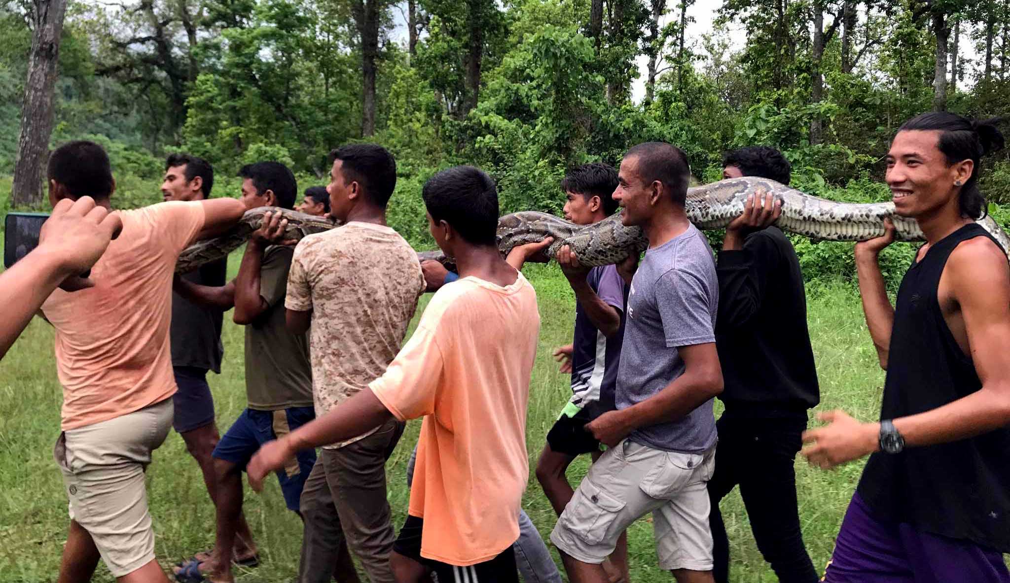 लामिटारमा भेटिएको अजिङ्गर निकुञ्जमा छाडियो