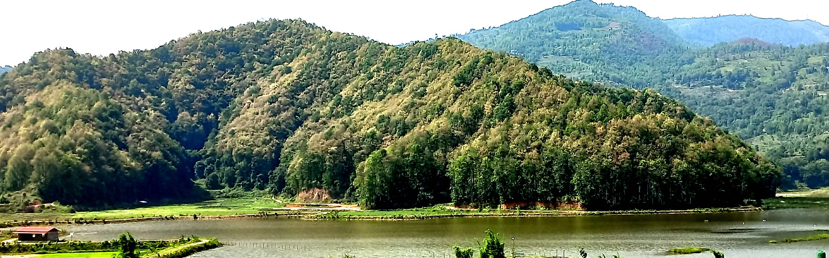 अझै हुन सकेन ‘हरियो वन, नेपालको धन’