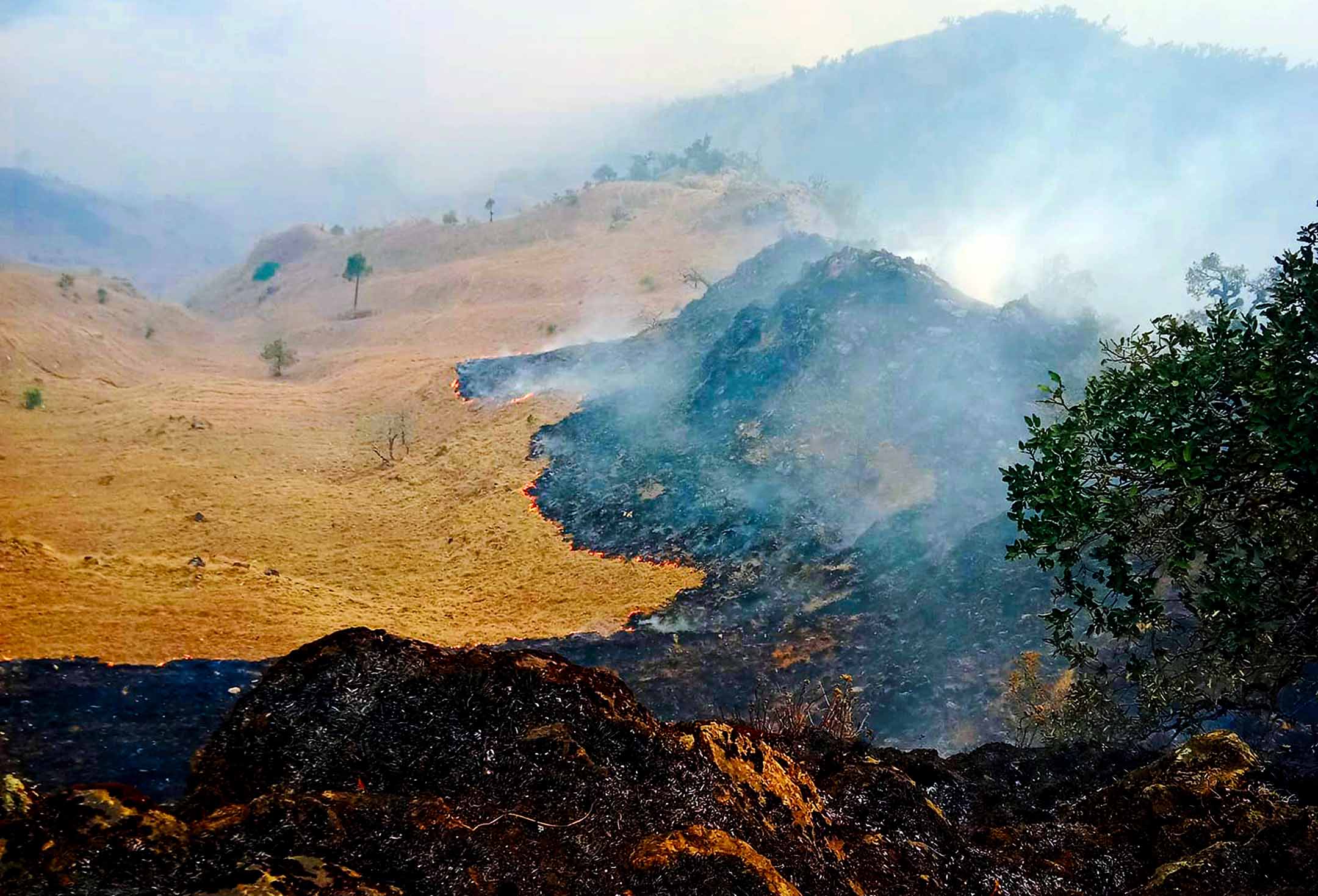 बागलुङमा ३८ वनमा आगलागी: १५ वनको आगो नियन्त्रण बाहिर