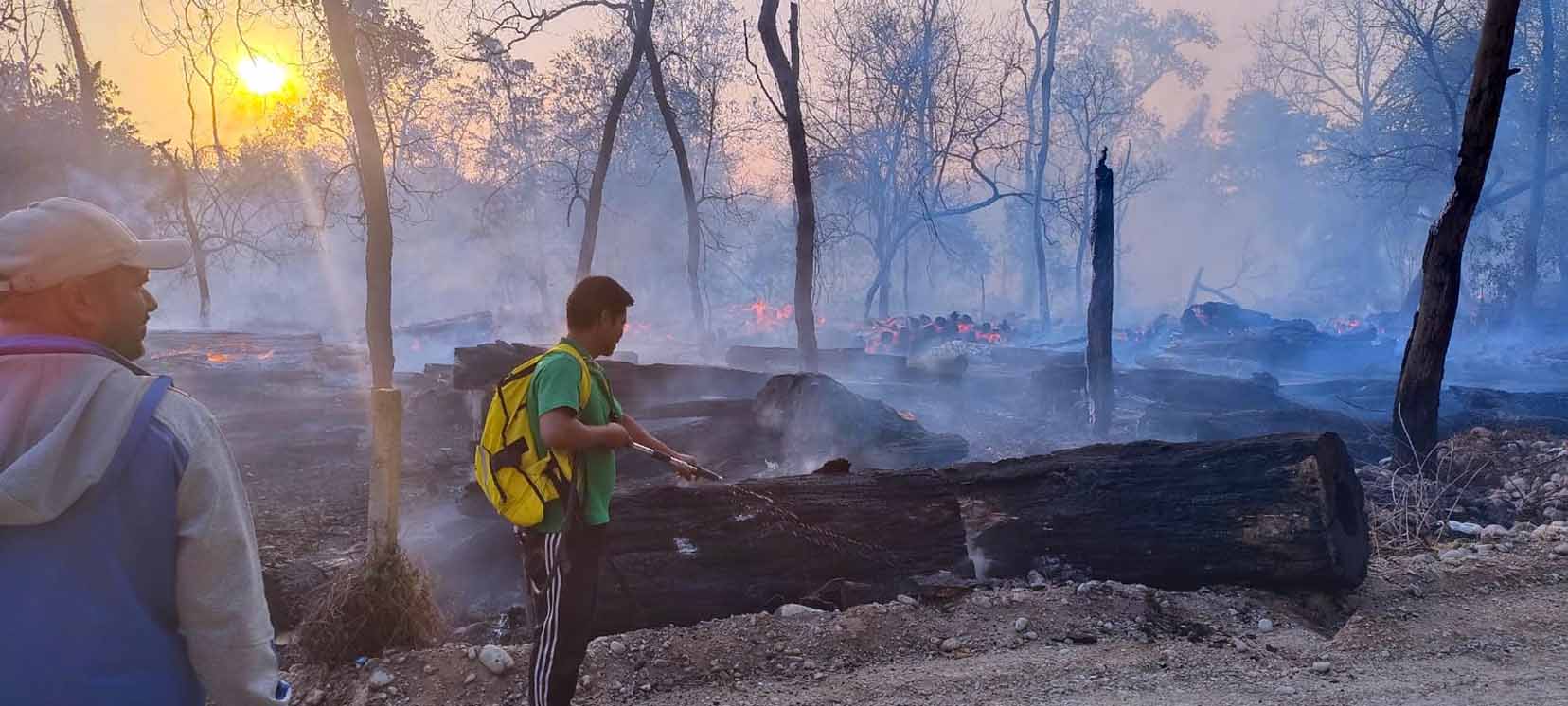 डढेलोबाट जङ्गलका स्रोत जोगाउनै मुस्किल