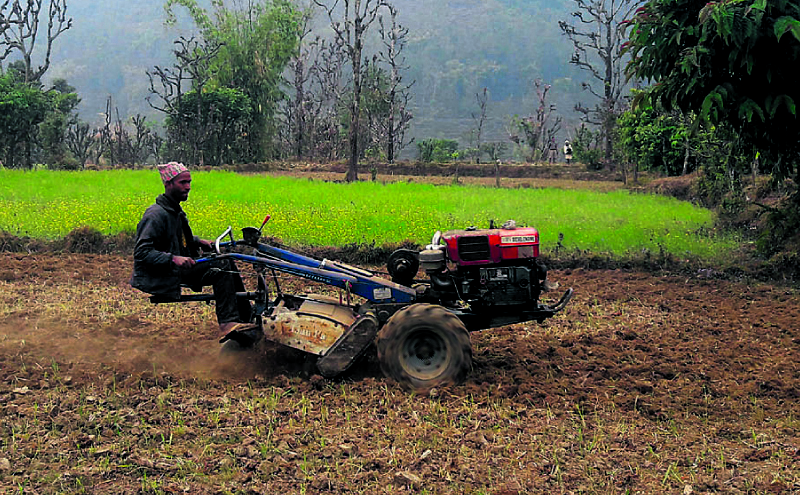 हाते ट्र्याक्टरले गोरु विस्थापित