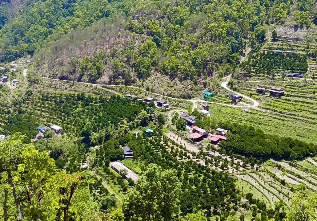 म्याग्दीमा कृषि विकासका विविध कार्यक्रम कार्यान्वयनमा