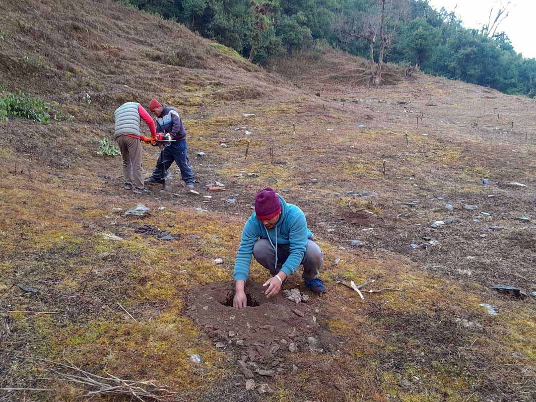 बाँझो जमिनमा फलफूल खेती