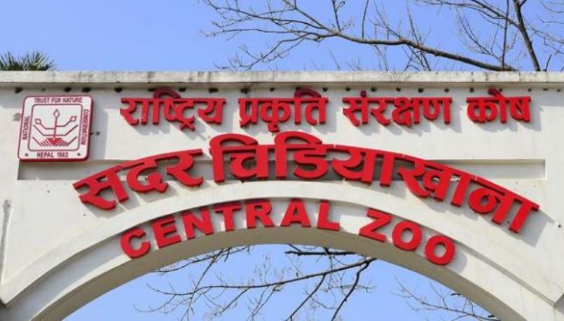 सदर चिडियाखानाको आम्दानी बढ्यो