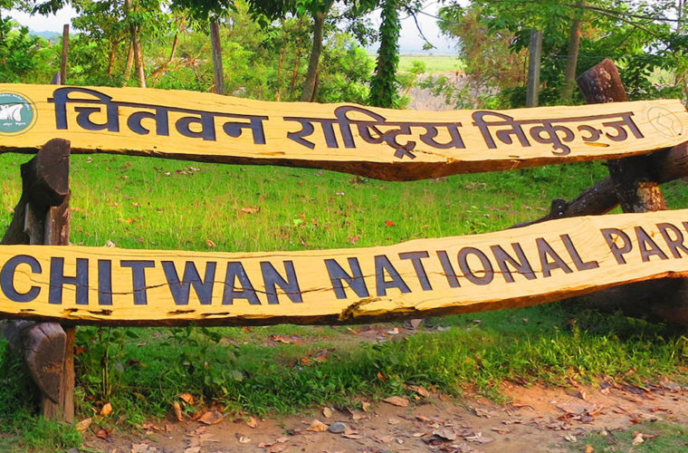 पाटेबाघ र गैँडा मृत भेटिए
