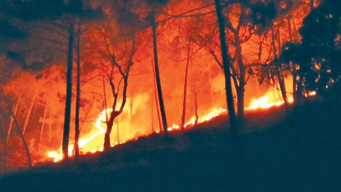 वन डढेलोः धेरै घटना तराईमा, क्षति पहाडमा