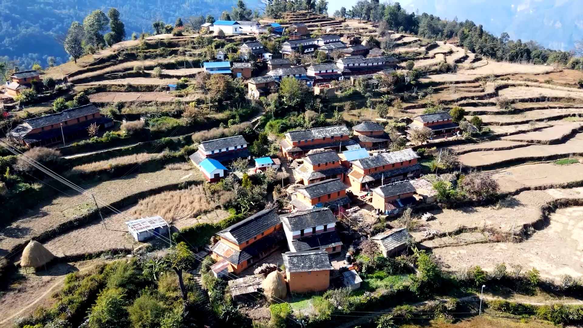 रित्ता घर रुँगेर बसेको आर्थर डाँडाखर्क गाउँ