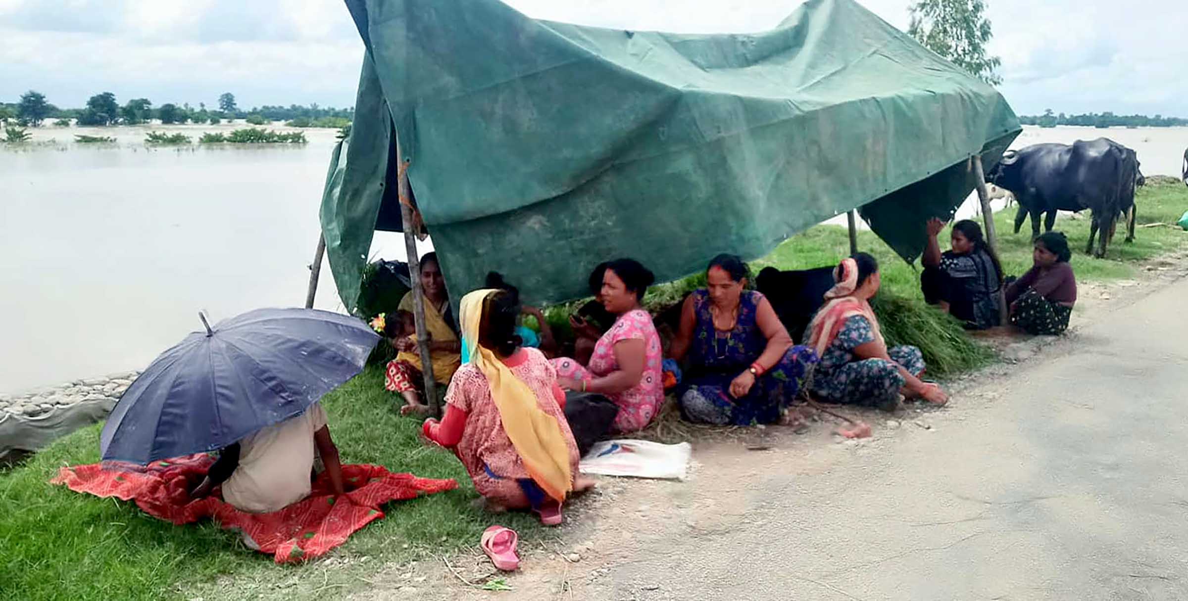 कैलालीका बाढी प्रभावित सडकमा