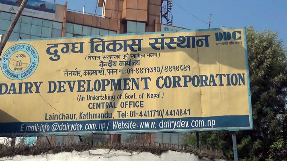 दुग्ध बिकास संस्थानमा उपप्रधानमन्त्रीका भतिजा नियुक्त हुँदै