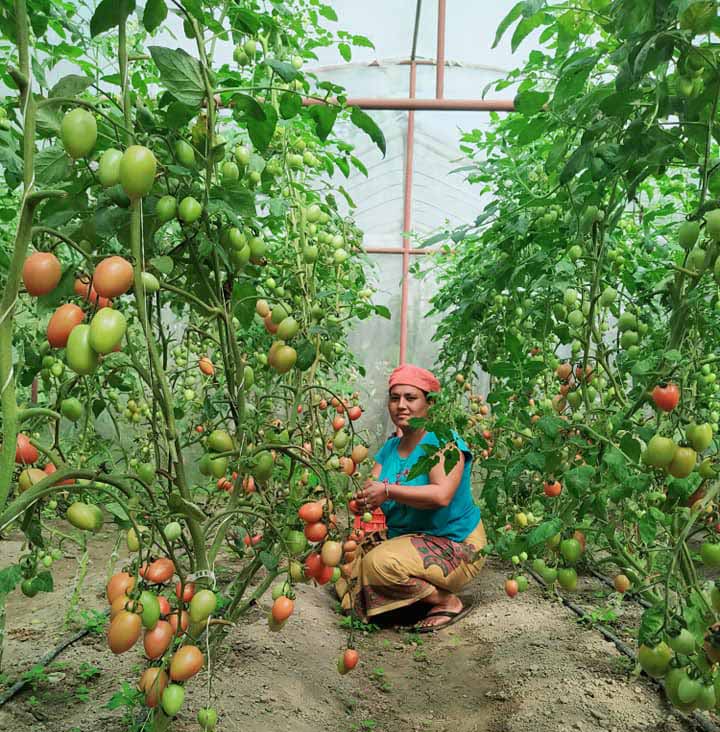 समृद्धिको खोजीमा म्याग्दीका किसान