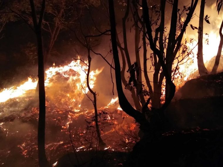 जङ्गलमा आगो निभाउने क्रममा म्याग्दीमा एकजनाको मृत्यु