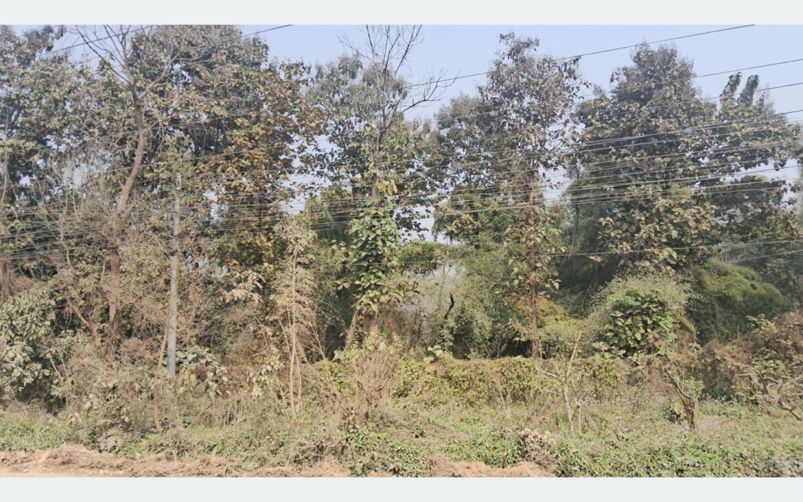 सामुदायिक वनमा महिला नेतृत्वको सफल अभ्यास