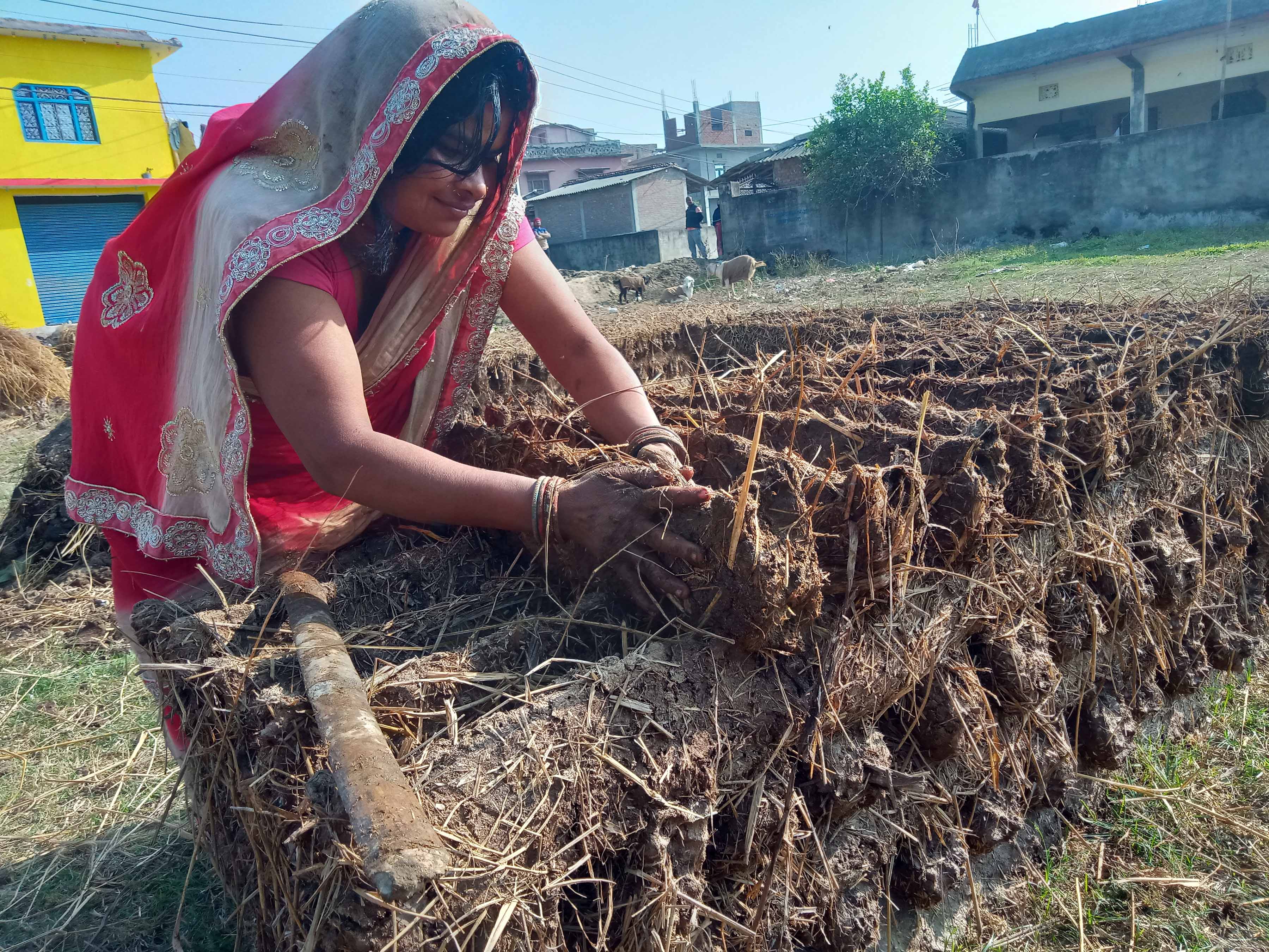 प्रचण्ड गर्मीमा ‘गुइँठा’ बनाउँदै महोत्तरीका गृहिणी