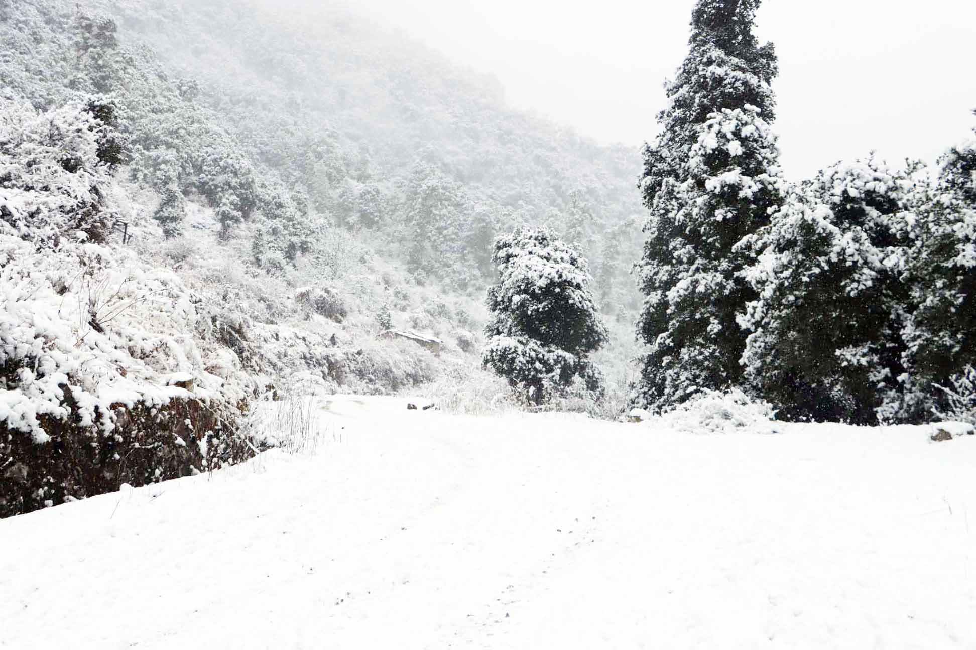 आजको मौसम: उच्च पहाडी तथा हिमाली भू–भागका केही स्थानमा वर्षासँगै हल्का हिमपात