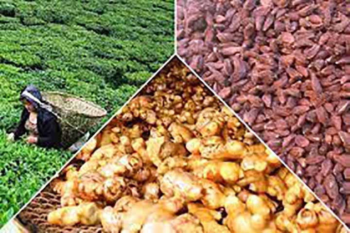 पूर्वीनाकाबाट बढ्यो कृषिजन्य वस्तुको निर्यात