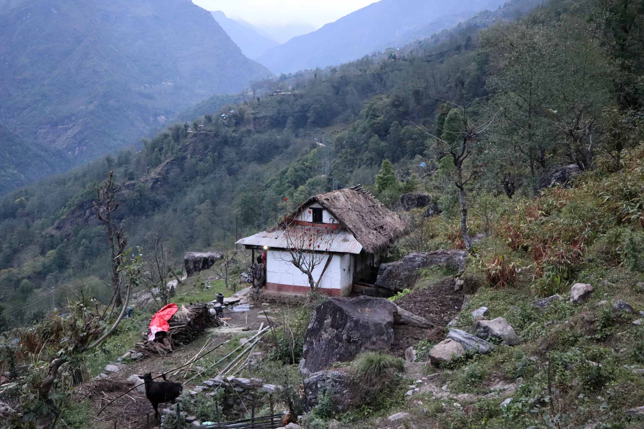 हावाहुरीसँगै वर्षा हुन थालेपछि...