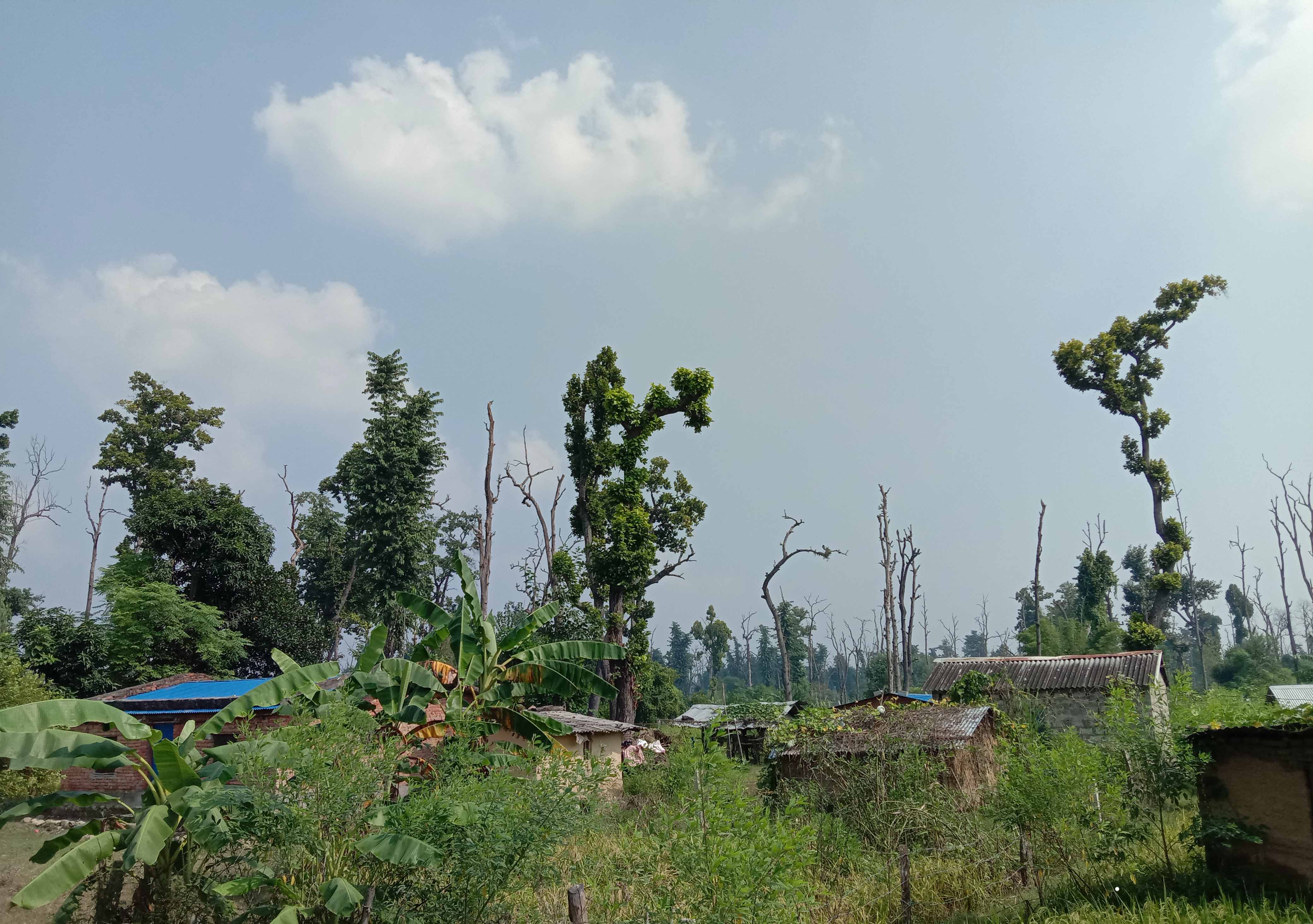 भोट बैंकको रुपमा सुकुम्वासी शिविर