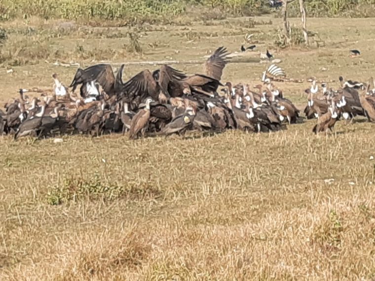 पर्यटनसँग जोडिँदै जटायु रेष्टुरेण्ट