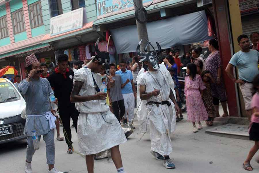 बेनीमा गोरु नाच प्रदर्शन