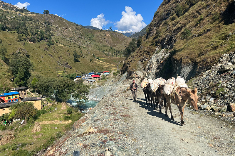 सडक मर्मत नहुँदा खच्चडकै सहारा