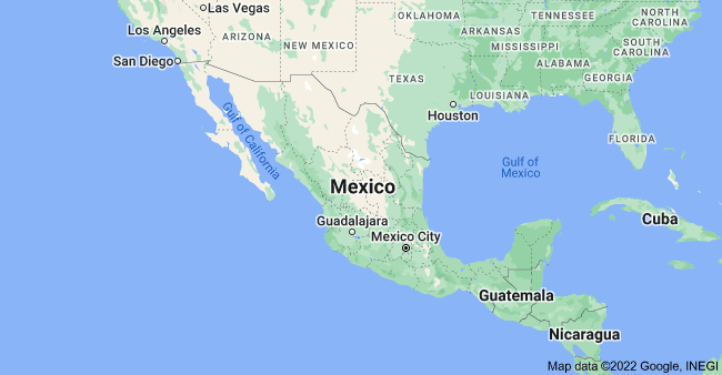 मेक्सिकोमा गोली चल्दा १९ जनाको मृत्यु