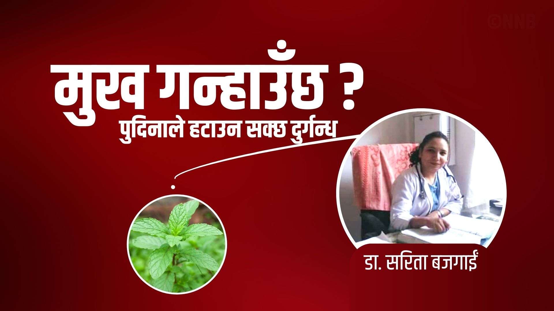 मुख गन्हाउँछ ? पुदिना छँदैछ नि