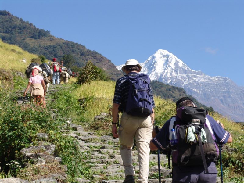 अन्नपूर्ण पदमार्गमा १६ हजार पर्यटकले गरे घुमफिर