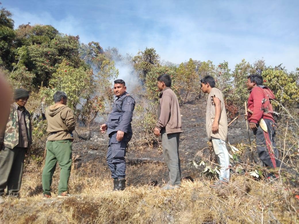 शैलुङको जङ्गलमा लागेको आगो नियन्त्रणमा नआउँदै बेतालीको जङ्गलमा पनि लाग्यो आगो