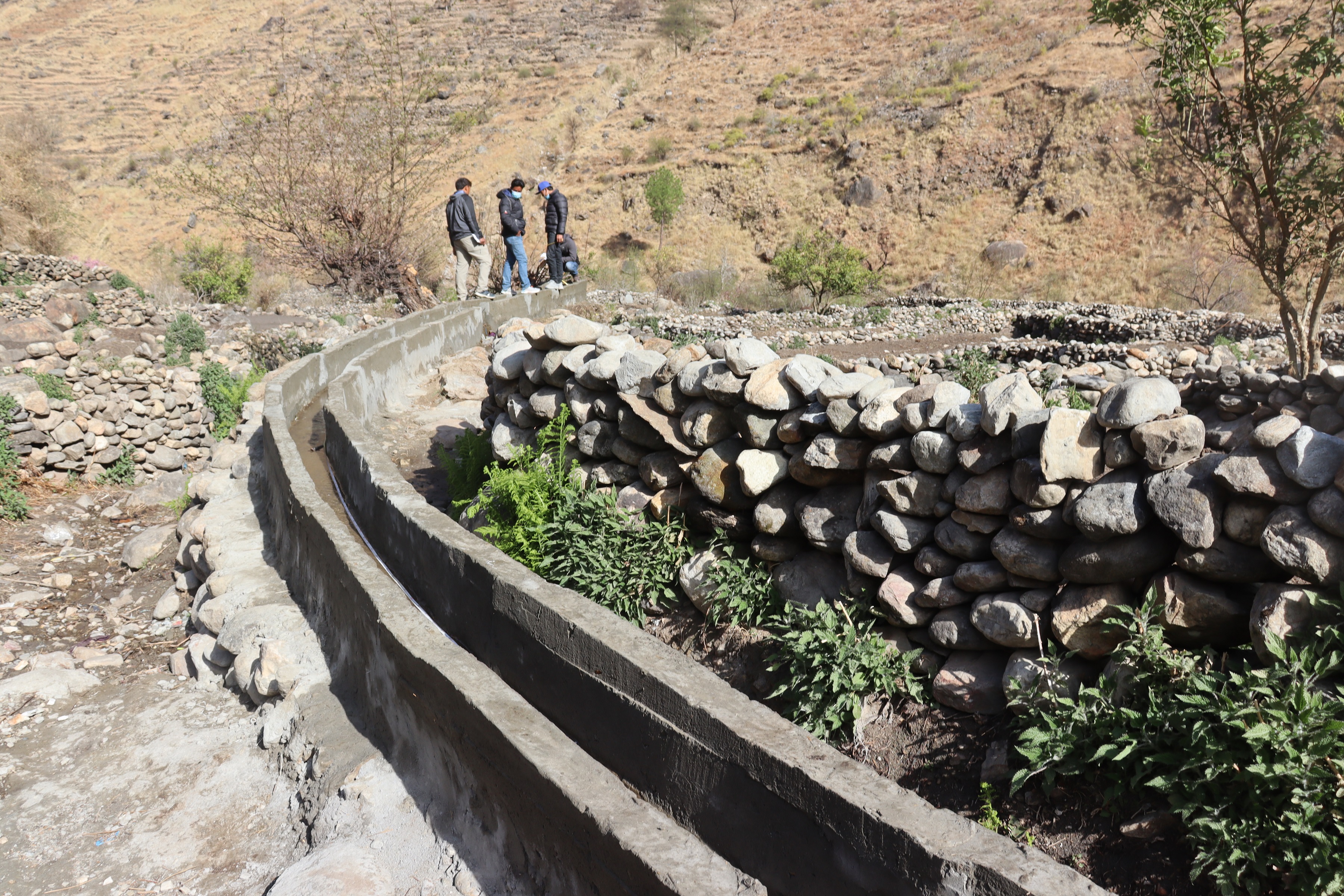 सिँचाइ नहर निर्माण भएपछि कृषक लाभान्वित