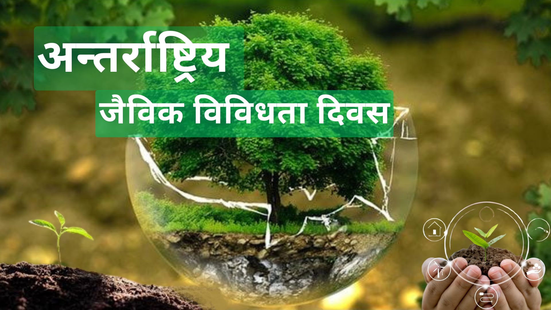 जैविक विविधता दिवस मनाइँदै