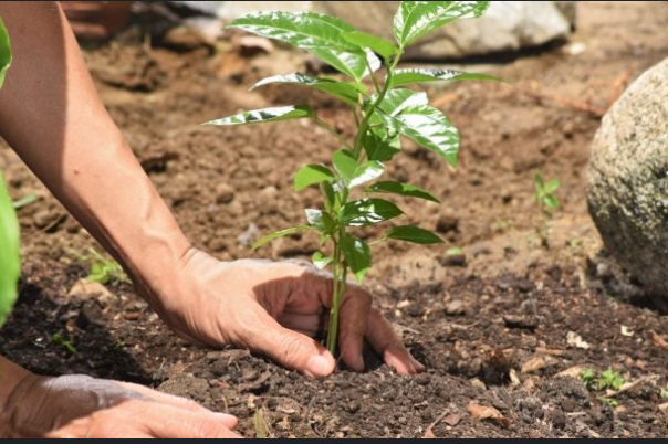 आज युद्ध र सशस्त्र द्वन्द्वमा वातावरणको दुरुपयोग रोक्ने अन्तर्राष्ट्रिय दिवस