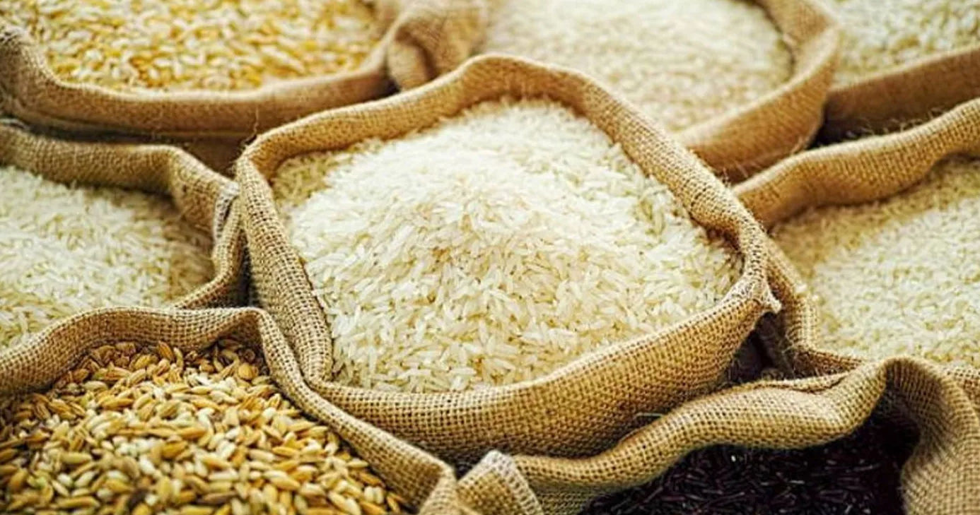 धान–चामल आयातमा ११ महिनामै करीब ३९ अर्व विदेशीयो, अझैं १० लाख मेट्रिक टन धान अपुग
