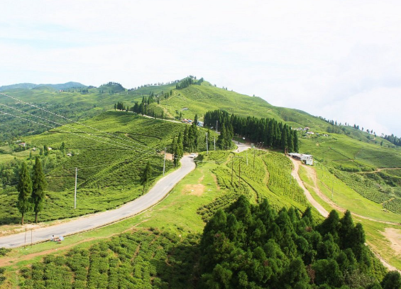 ‘निसान पदमार्ग’ पुस २३ देखि २६ गतेसम्म हुँदै