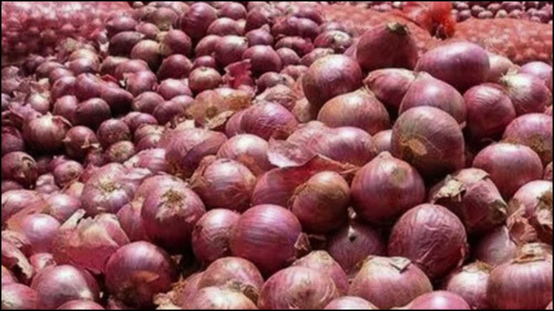 भारतीय बजारमा महंगीयो प्याज, नेपालमा पनि मूल्य उकालो लाग्दै