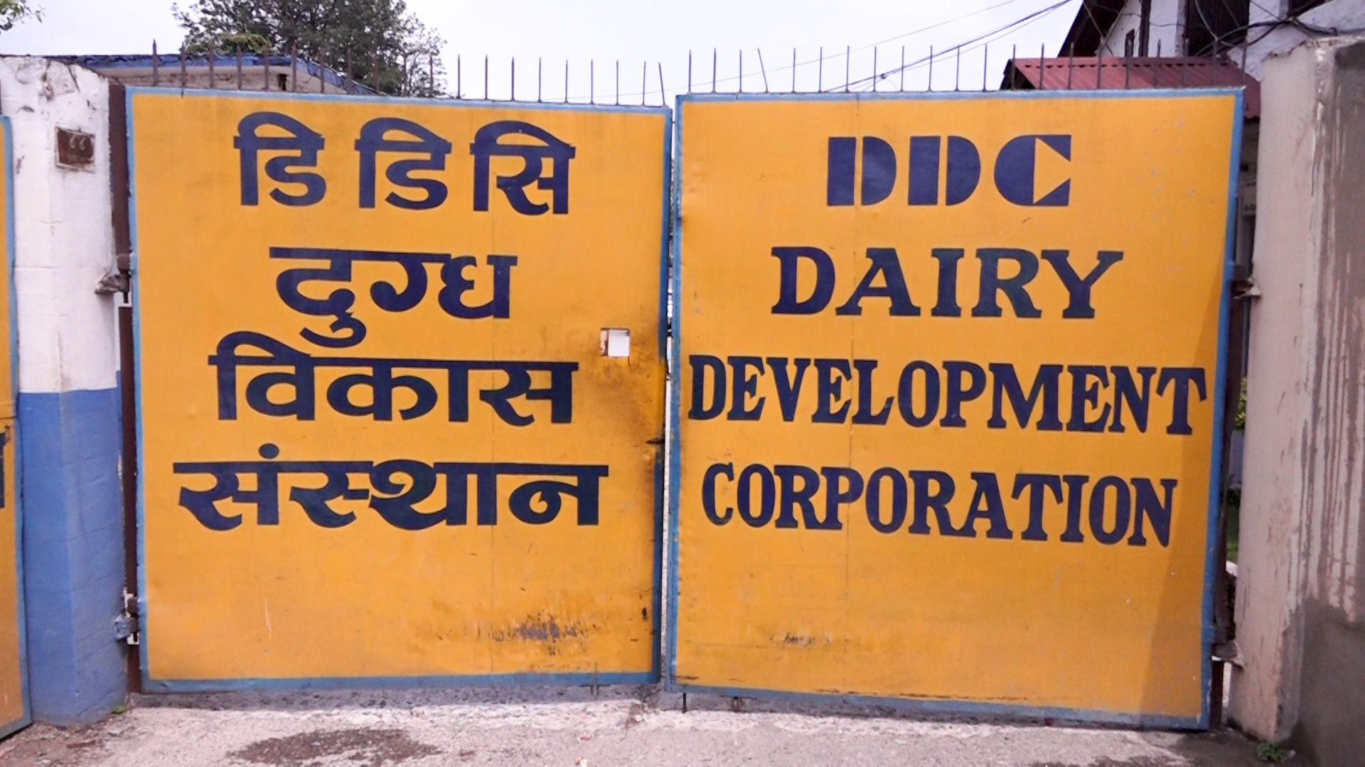डीडीसी महाप्रबन्धकको जिम्मेवारीमा डा.पाण्डेय, कर्मचारीका दूधघ्यू सुविधा कटौती