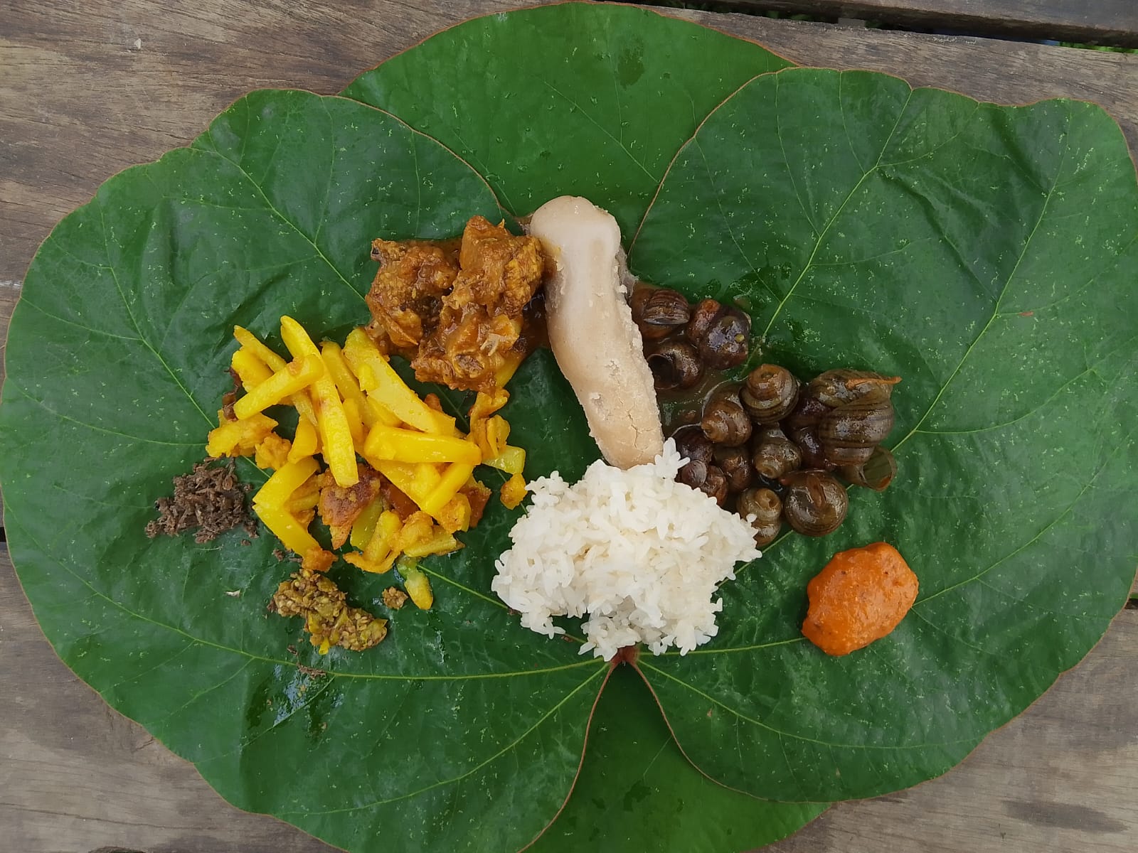 रैथाने खानामा युवा पुस्ताको रुची घटेपछि अध्ययन सुरु