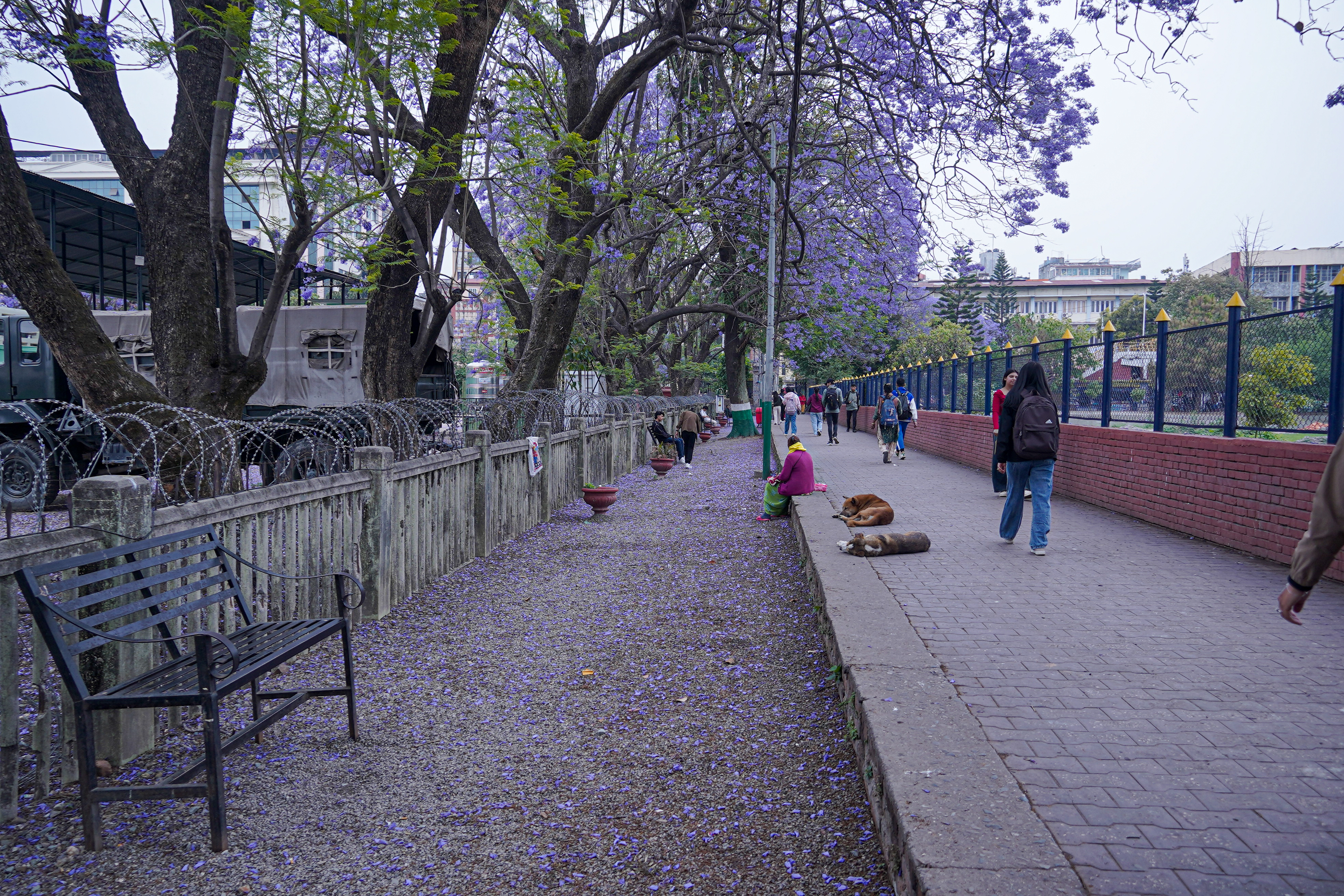 Photo (9)
