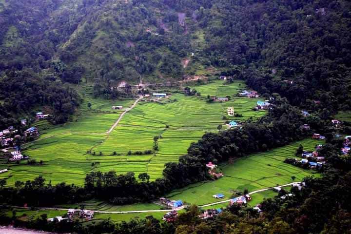 म्याग्दीबाट रैथाने बाली लोप हुँदै
