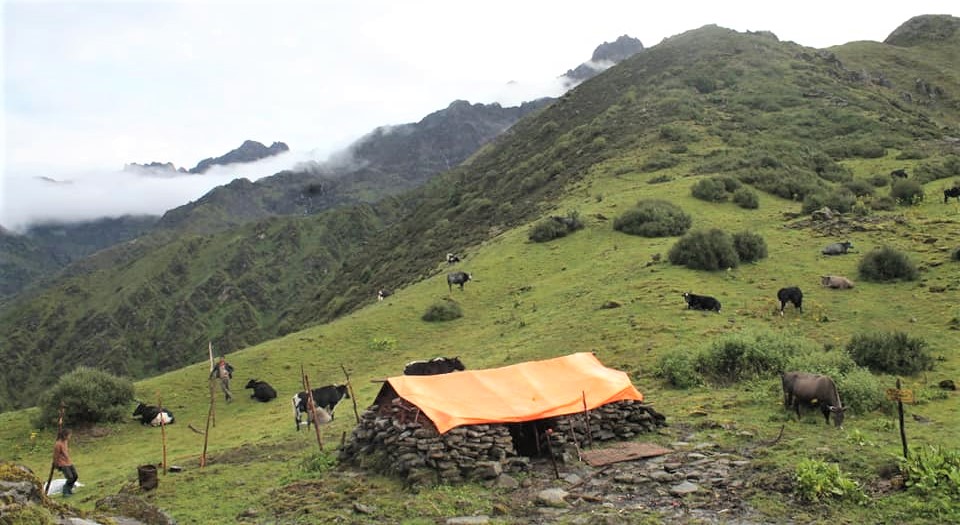 Pokhari