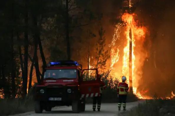 युरोप गर्मीका कारण आक्रान्त, जंगल क्षेत्र उच्च जोखिममा