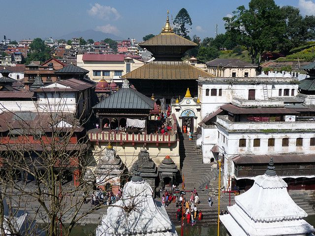   पशुपति बिकास कोषः गुरु योजनामा हिनामिना, दोषीमाथि कारबाहीको सिफारिस